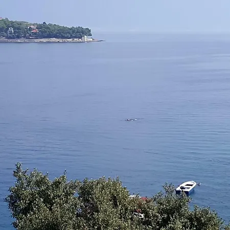 Punta Ruzmarin Selca (Brac)